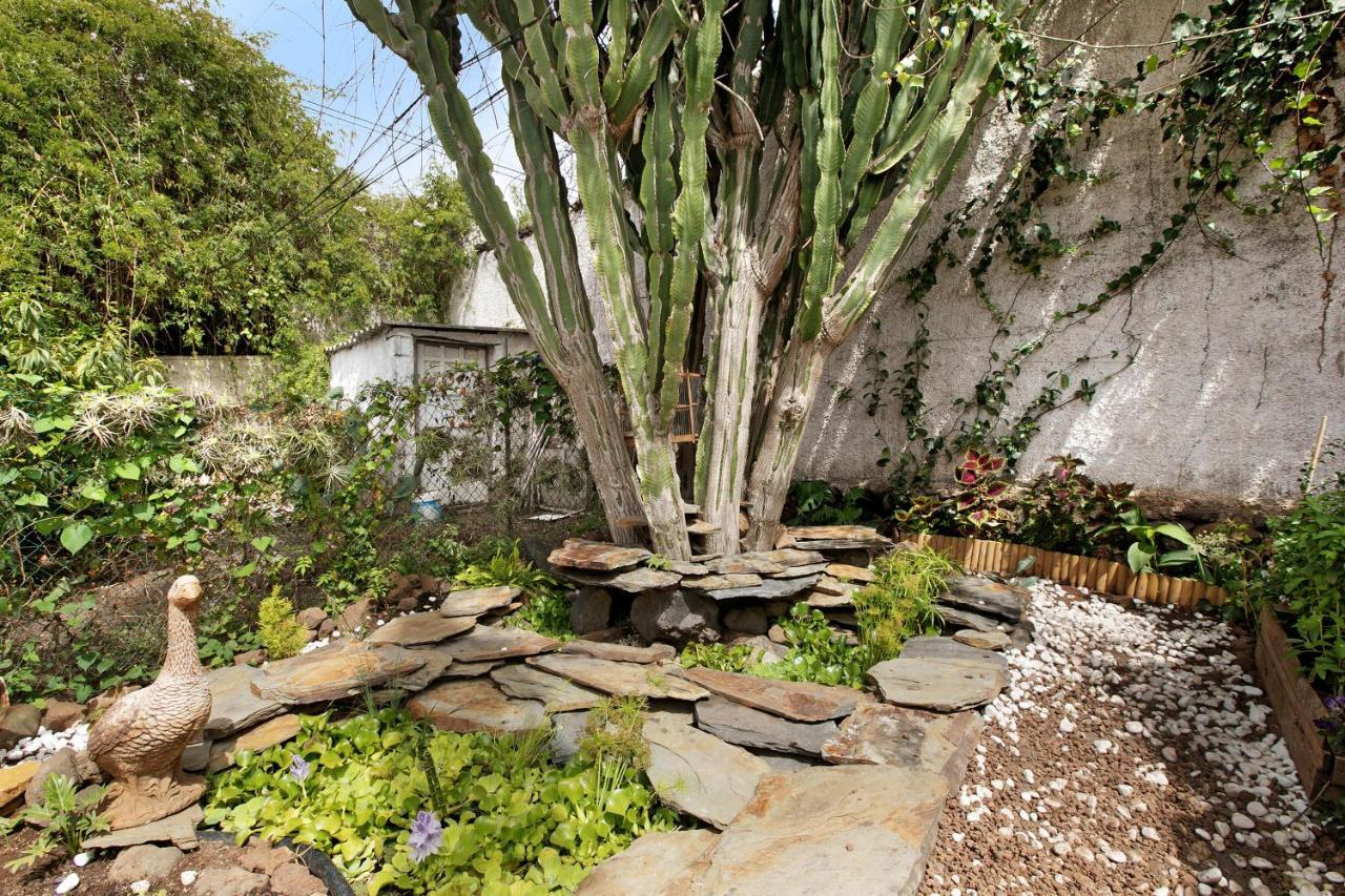 Apartamento Jardin Del Sol Tacoronte Eksteriør bilde